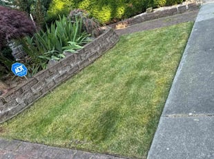 Sally G.'s Lawn Mowing service result