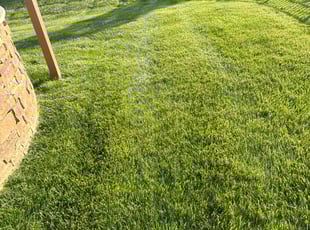 Charlene M.'s Yard Cutting service result