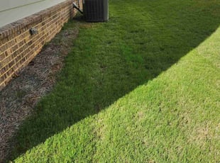 Anne N.'s Lawn Mowing service result