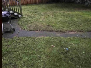 Olanrewaju O.'s Yard Cutting service result