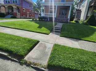 Austin T.'s Lawn Mowing service result