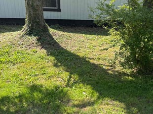 Cleanups by Harrison Thomas for Ebony W. in Euclid, OH