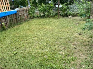 Jenny V.'s Lawn Care service result