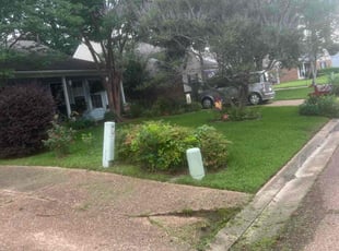 Jenai W.'s Lawn Mowing service result