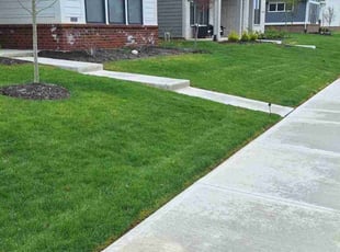 Tony H.'s Lawn Mowing Service service result