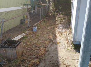 Cleanups by Dana Knickerbocker for Mariah W. in Seattle, WA