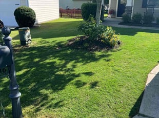 Johnny C.'s Lawn Service service result