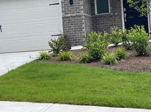 Dorothea S.'s Lawn Mowing Service service result