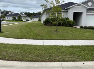 Kahlia S.'s Lawn Service service result