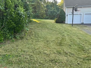 Rayjean E.'s Lawn Service service result