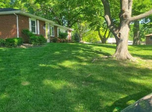 Leaf Removal by Zachary Herring for Celine G. in Kansas City, KS