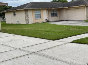 Luis H.'s Lawn Mowing Service service result