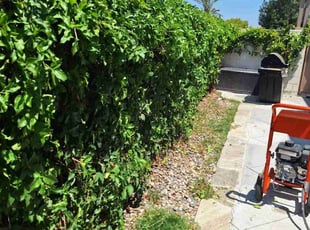 Bush Trimming by Juan Gomez for Carrie P. in Moorpark, CA