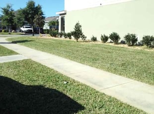 Damon R.'s Lawn Service service result