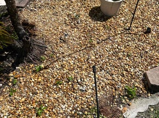 Weeding by Jace Major for Lindsey B. in Margate, FL