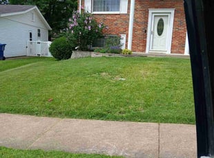 Bush Trimming by Tony Todd for Cameron H. in Fenton, MO