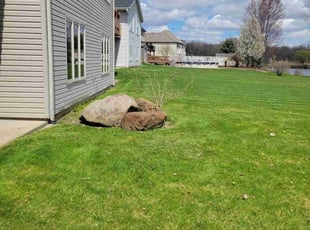 Alex C.'s Yard Cutting service result