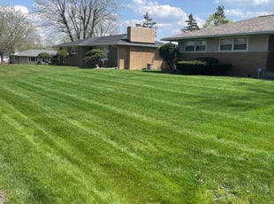Mike K.'s Lawn Care service result