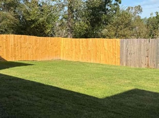 Claudia T.'s Yard Cutting service result