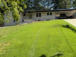 Nyse C.'s Lawn Mowing service result