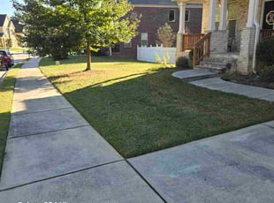 Justin D.'s Grass Cutting service result