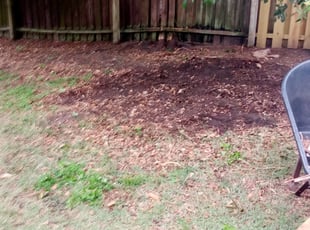 Cleanups by James Stuckey for Victoria C. in Ocoee, FL