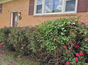 Bush Trimming by Artavius Clark for Jeron A. in Clinton, MD