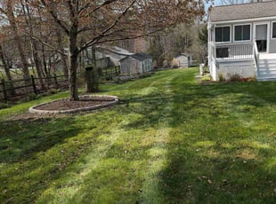 Chester G.'s Lawn Maintenance service result