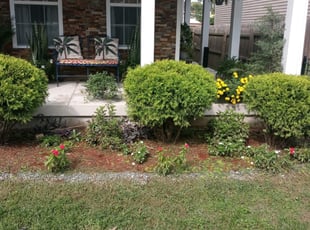 Bush Trimming by Jessica Porter for Van P. in Washington, DC