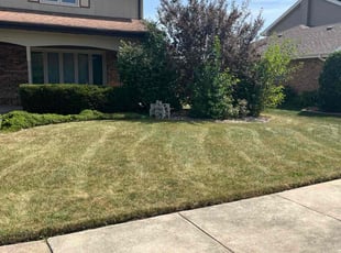 Payman F.'s Lawn Maintenance service result