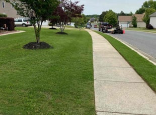 Rickey & Shelley M.'s Yard Cutting service result