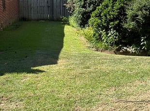 Adriann G.'s Lawn Maintenance service result