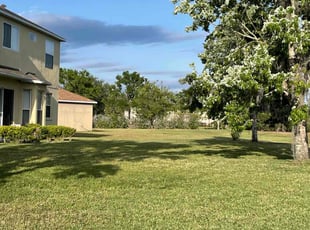 Jeff E.'s Lawn Mowing service result