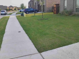 Bush Trimming by Demarquiatwon henderson for Gumeet D. in Haslet, TX