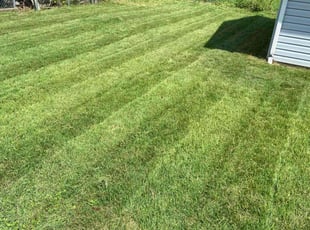 Bridgot e.'s Lawn Care service result