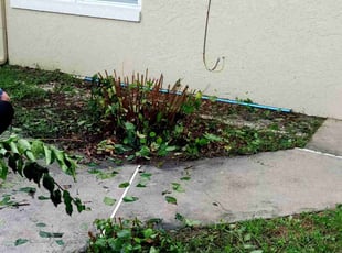 Cleanups by James Stuckey for Stephen M. in Orlando, FL