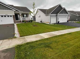 Frank T.'s Grass Cutting service result