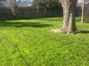 Don W.'s Yard Cutting service result