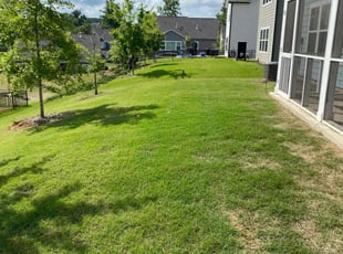 Lori W.'s Lawn Mowing service result