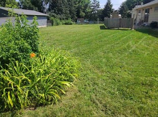 Michele B.'s Grass Cutting service result
