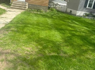 Nick I.'s Yard Cutting service result