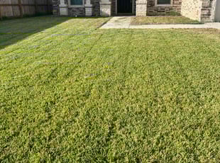 Patricia N.'s Yard Cutting service result