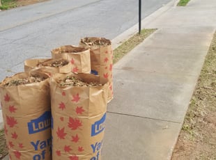 Cleanups by Dominique Bedford for Vincent A. in Hapeville, GA