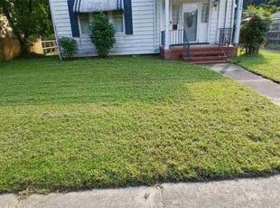 Tammi J.'s Lawn Maintenance service result