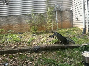 Weeding by Elijah Bailey for Willie S. in Kernersville, NC