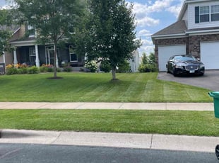 Rosalind A.'s Lawn Care service result