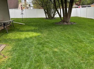 John G.'s Lawn Mowing service result
