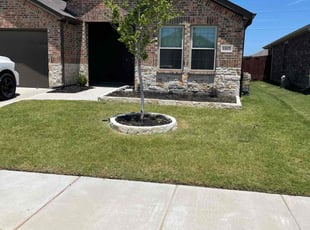 Weeding by Samuel Fogg for Josephine V. in Denton, TX