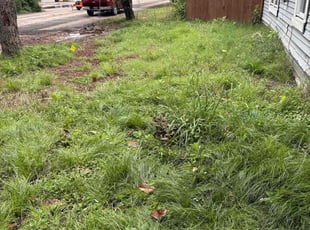 Cleanups by Juan Aguilar for Dylan W. in Cleburne, TX