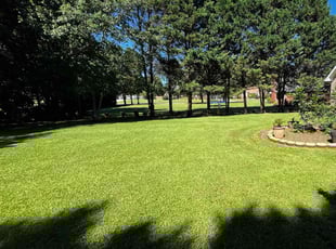 Rose I.'s Lawn Service service result